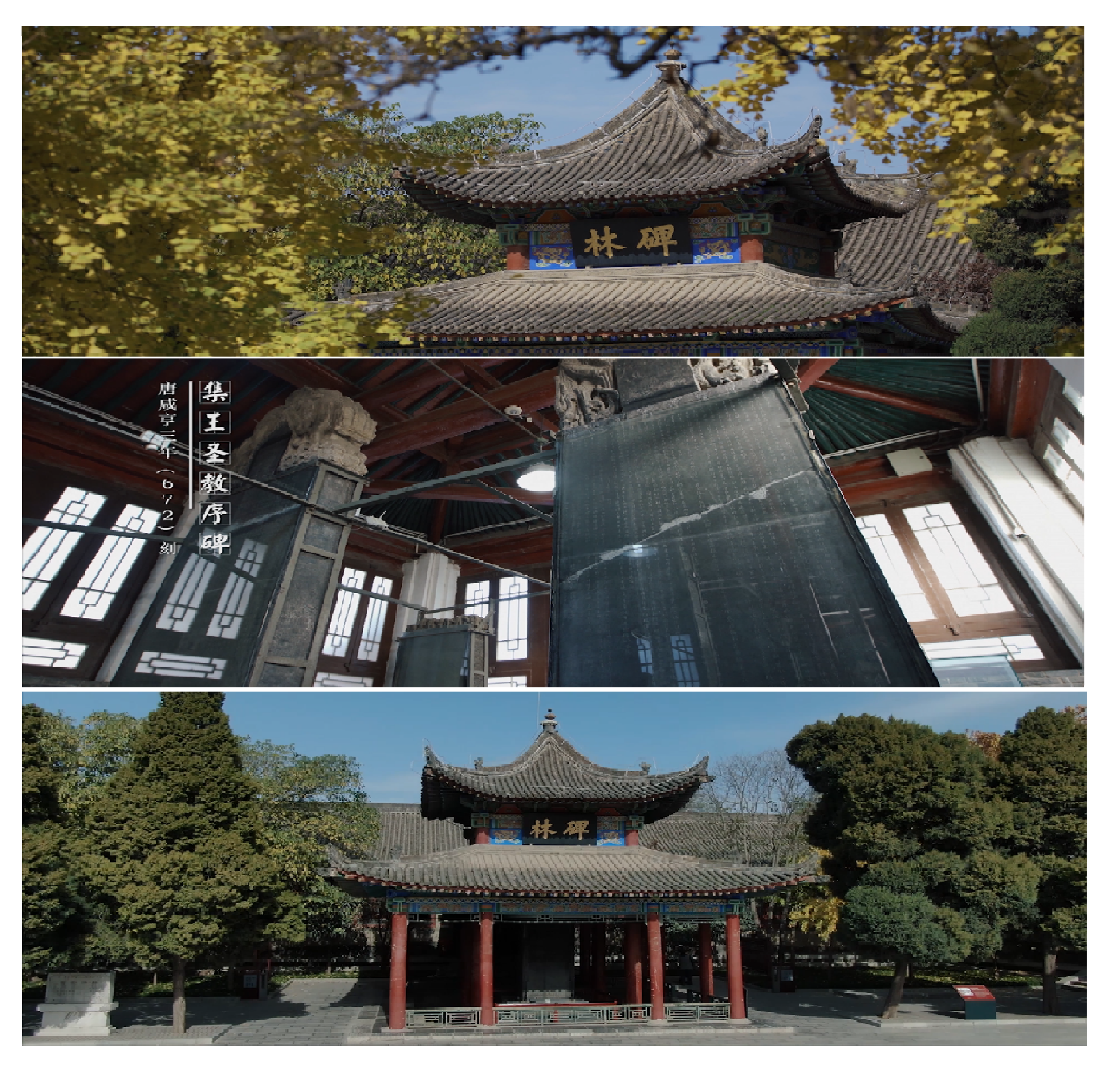 西安碑林博物馆改扩建纪录片拍摄制作及宣传服务项目