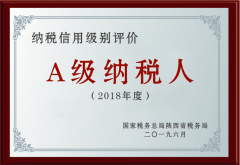 A级纳税人